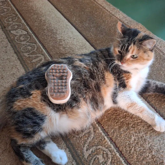 ぷにぷにケア / スチームペットグルーミングブラシ