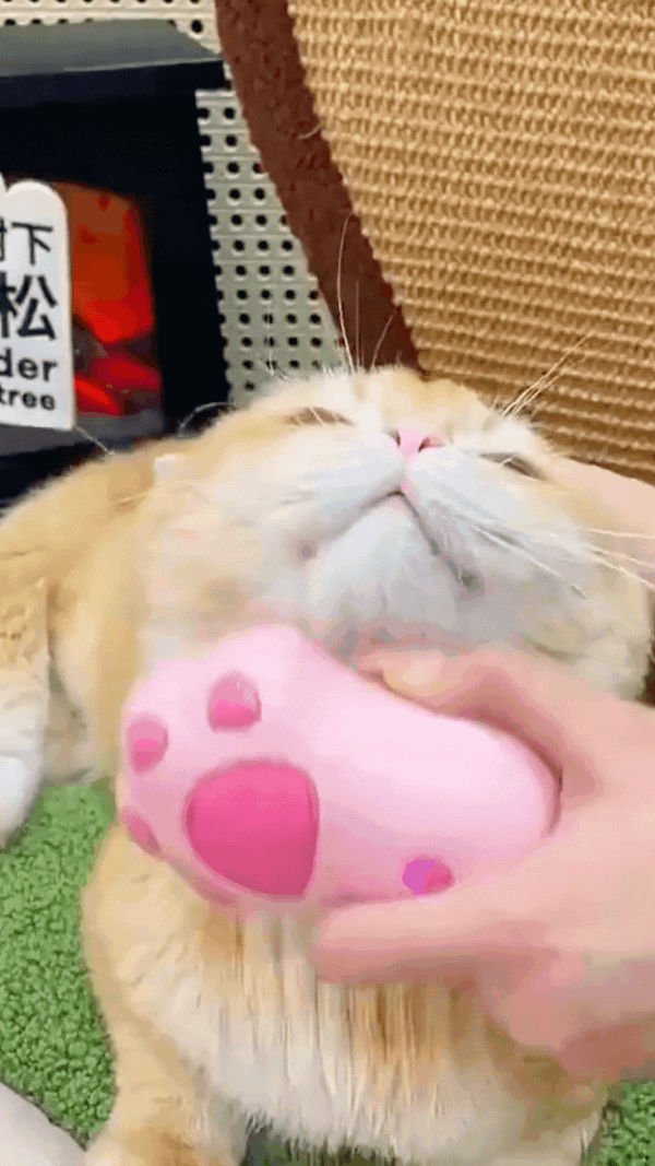 ぷにぷにケア / スチームペットグルーミングブラシ